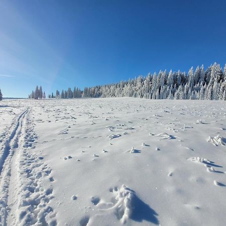 Apartman Spa Sumava Zdikov Bagian luar foto