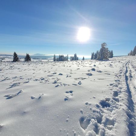 Apartman Spa Sumava Zdikov Bagian luar foto