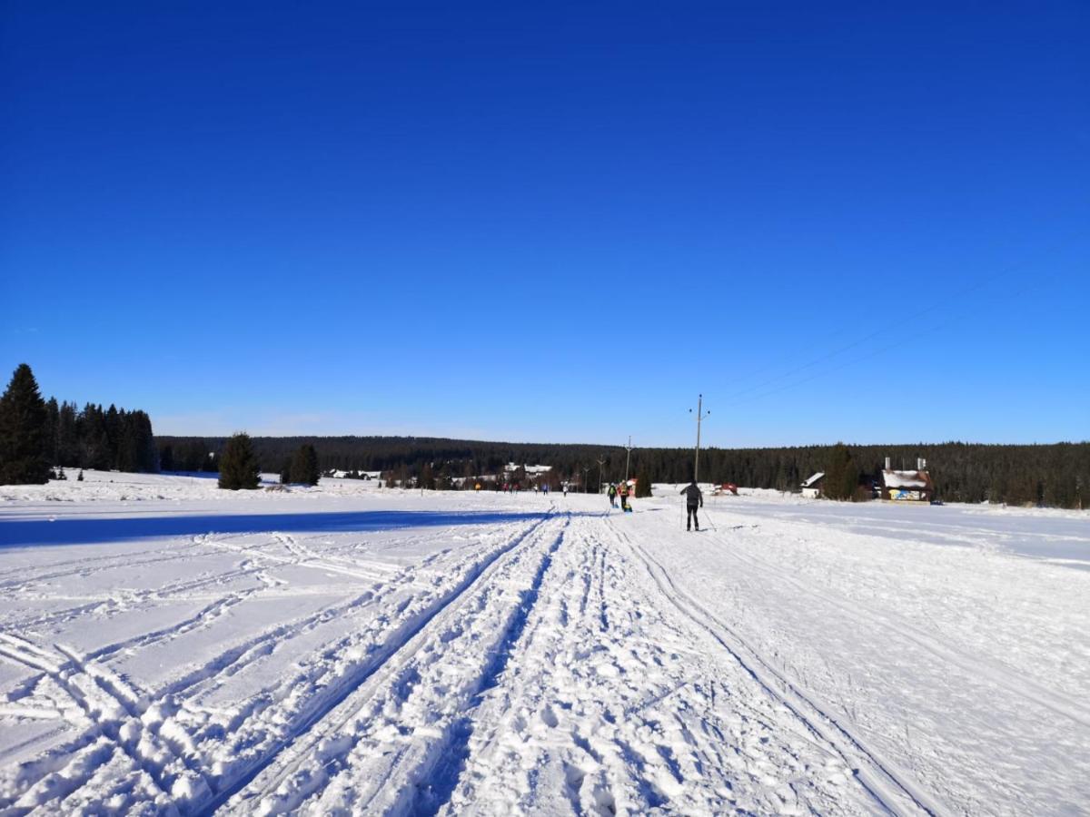 Apartman Spa Sumava Zdikov Bagian luar foto