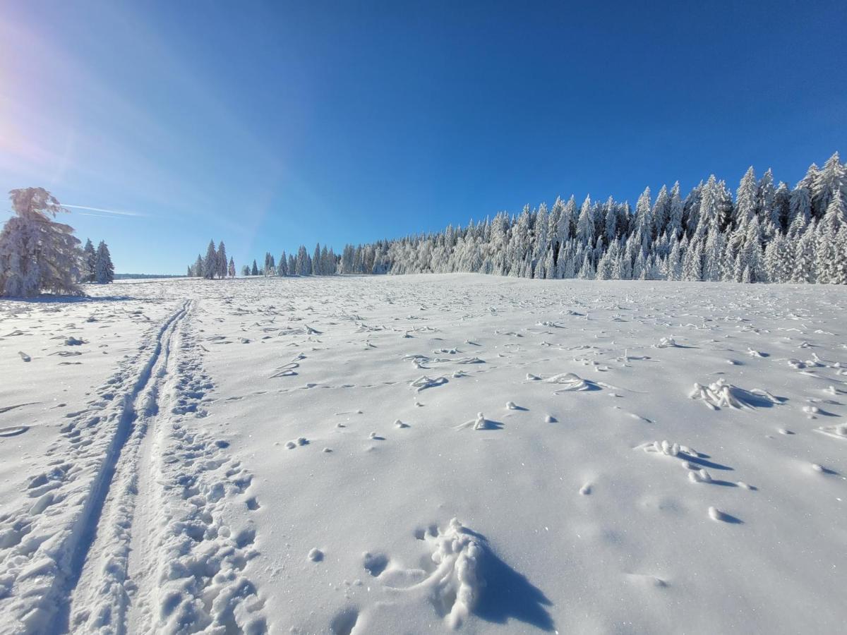 Apartman Spa Sumava Zdikov Bagian luar foto